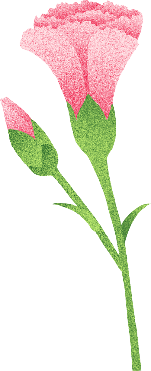 Word文档图片