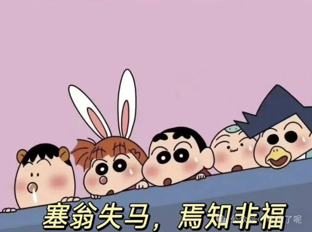 Word文档图片
