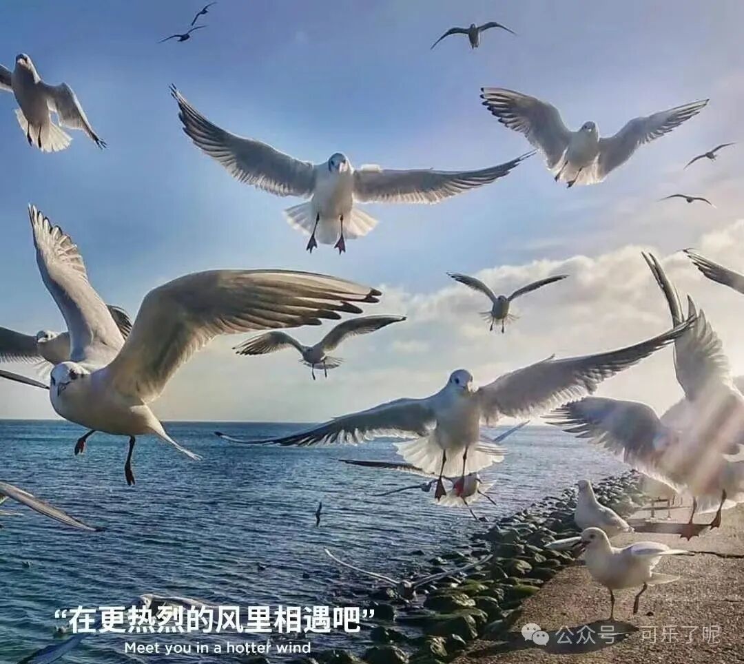 Word文档图片