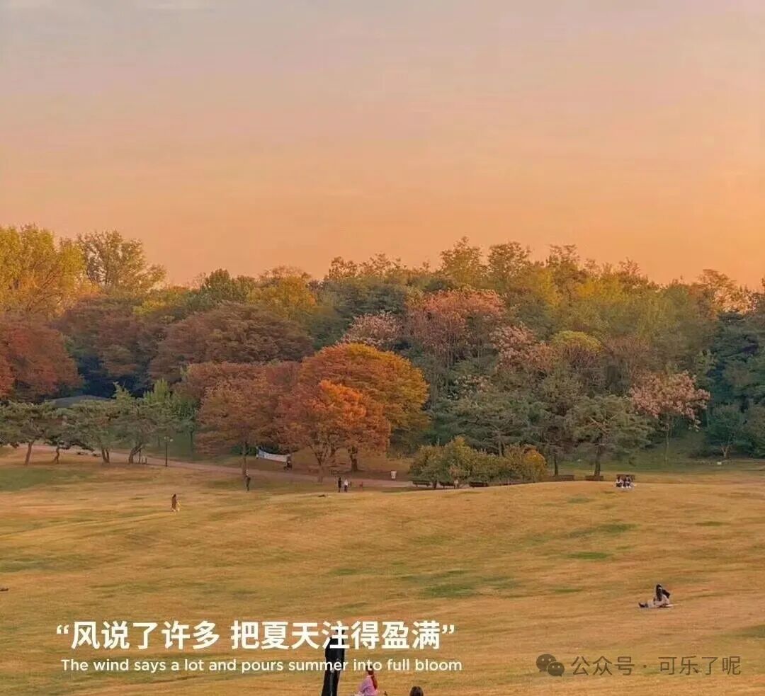 Word文档图片