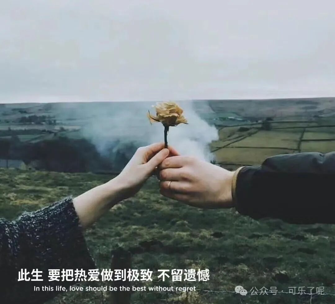 Word文档图片