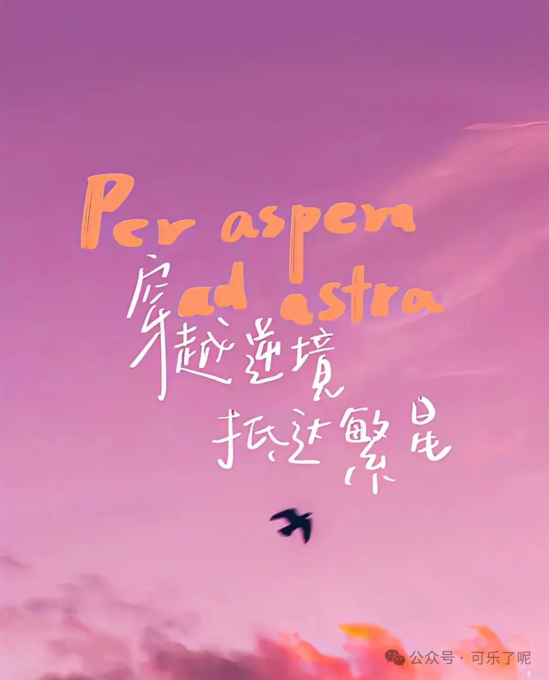 Word文档图片