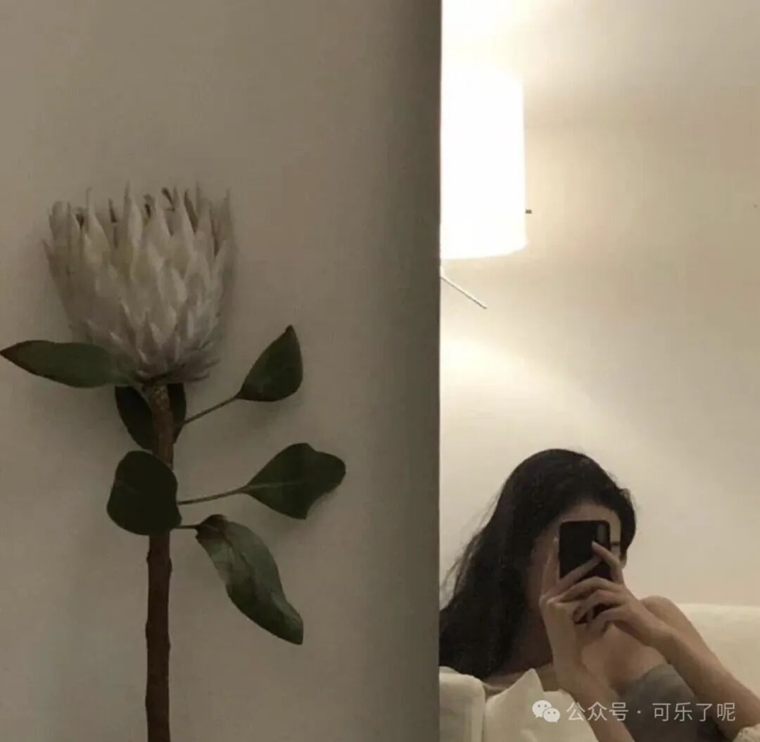 月亮代表我的心坑坑洼洼冷冰冰