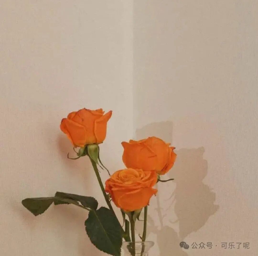 Word文档图片