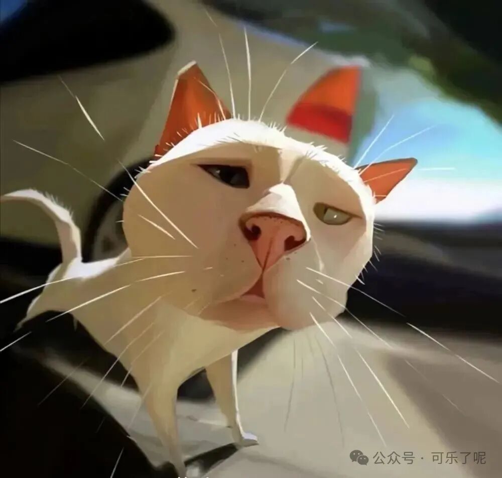 Word文档图片