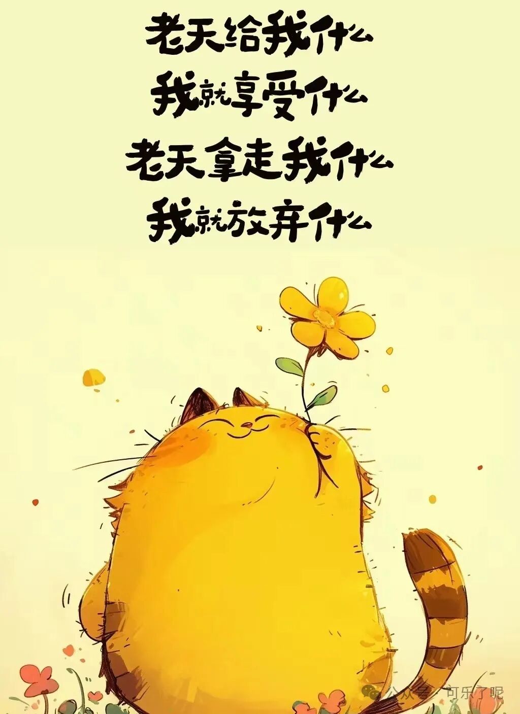 有人发光有人发胖而我一直发财