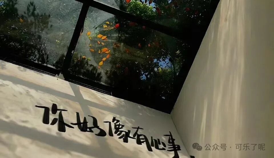 Word文档图片