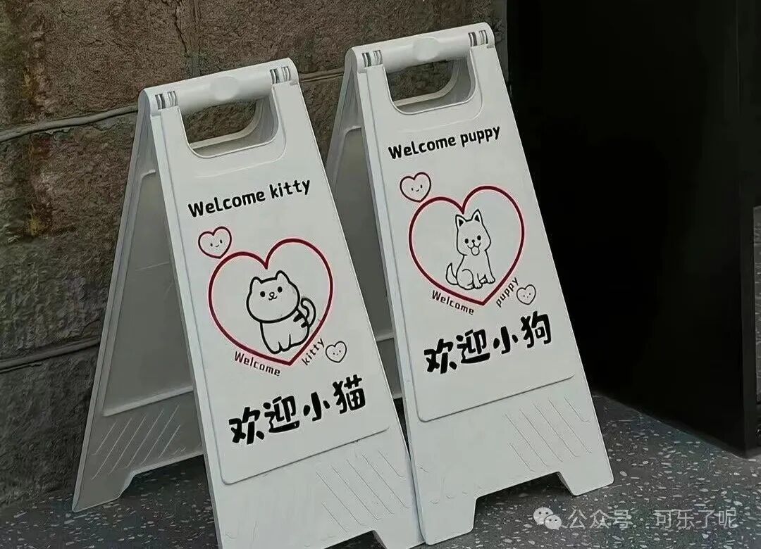 Word文档图片