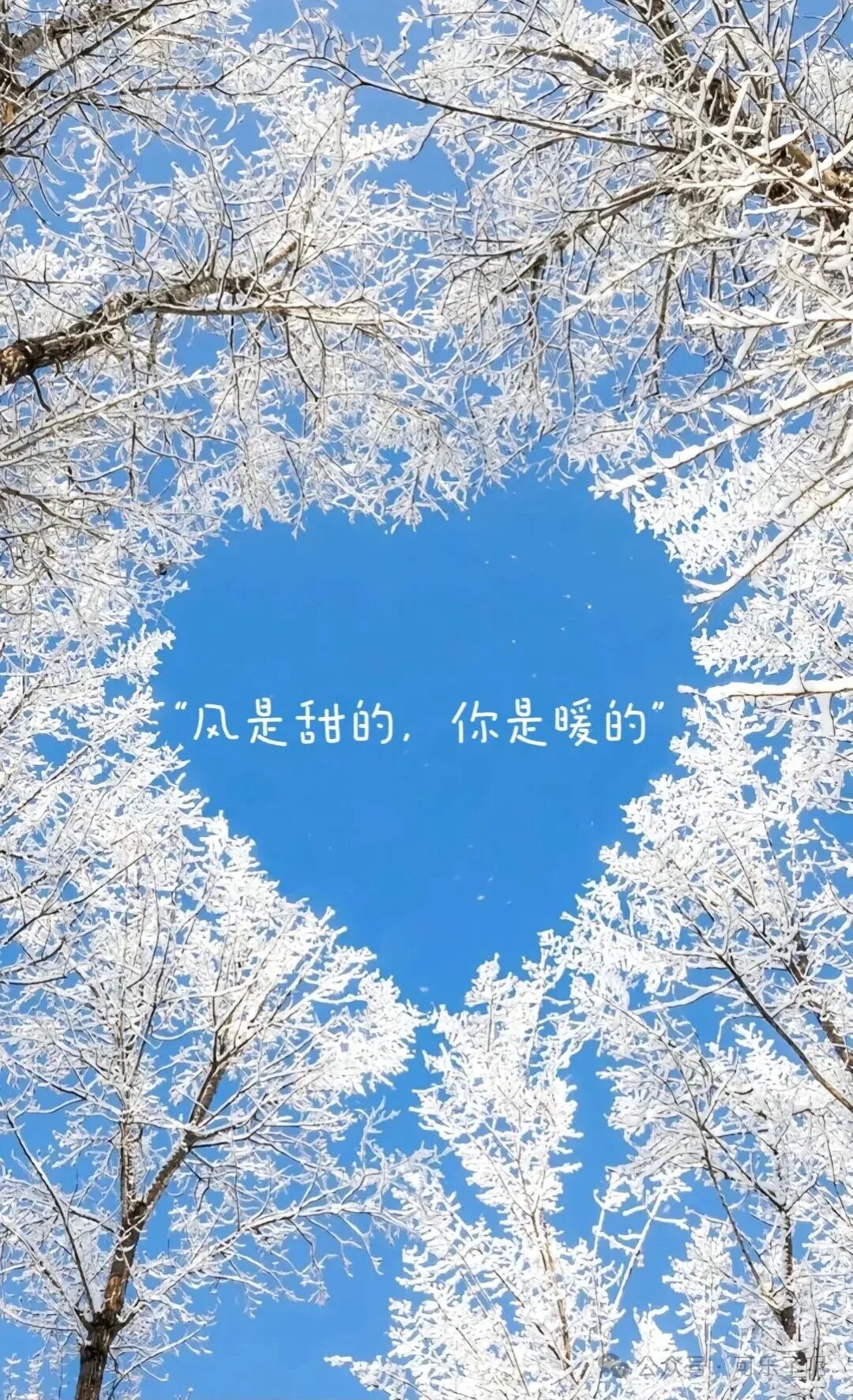 Word文档图片