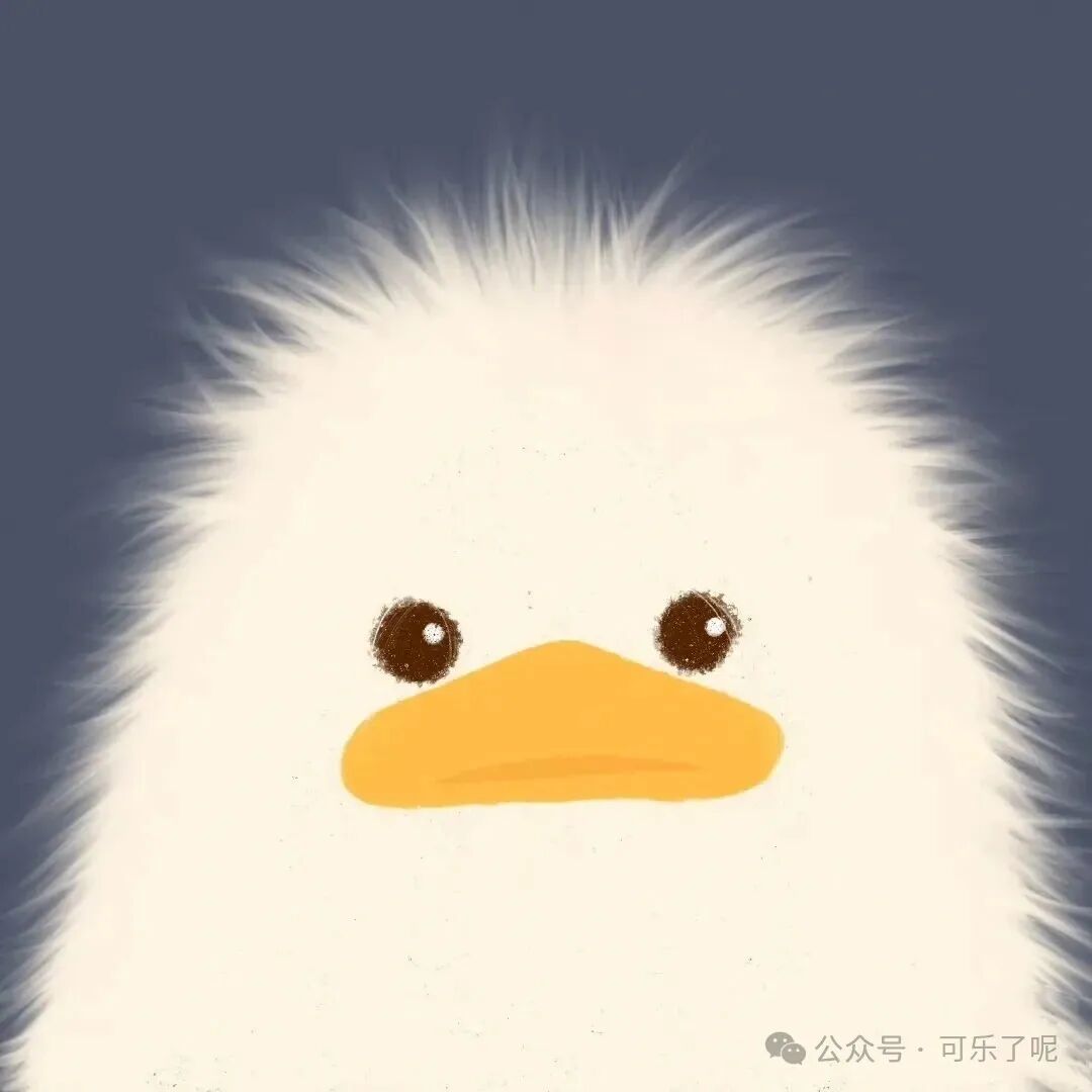 Word文档图片