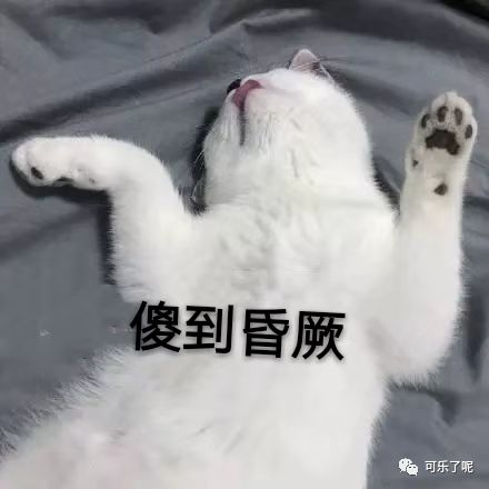 Word文档图片