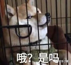 Word文档图片