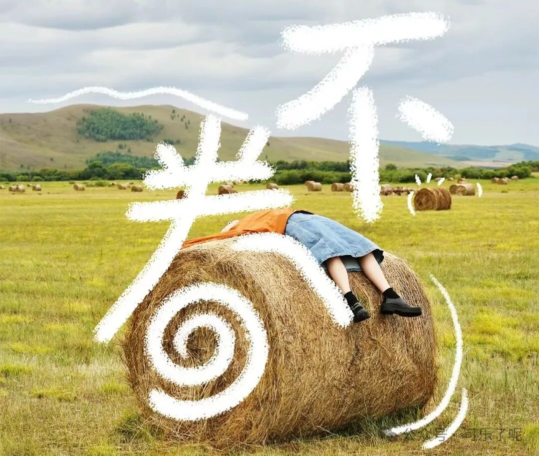 Word文档图片