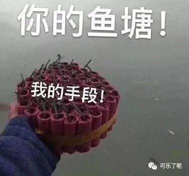 Word文档图片