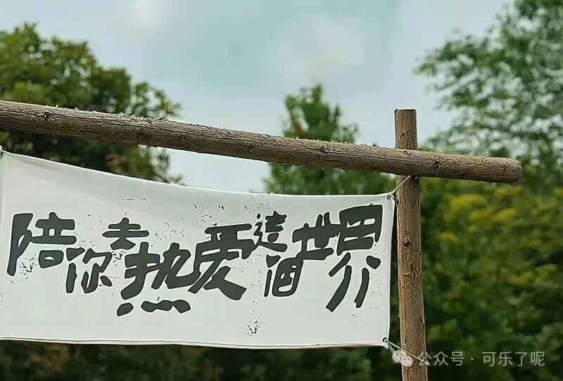 Word文档图片