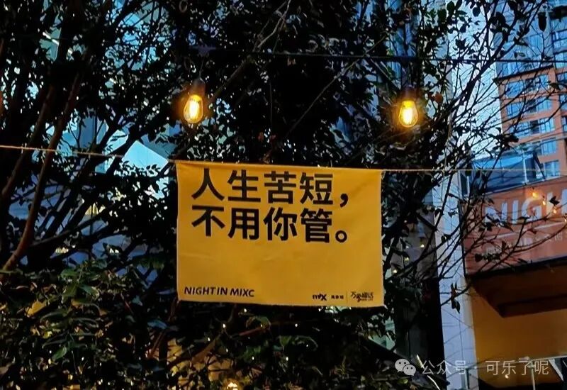 Word文档图片