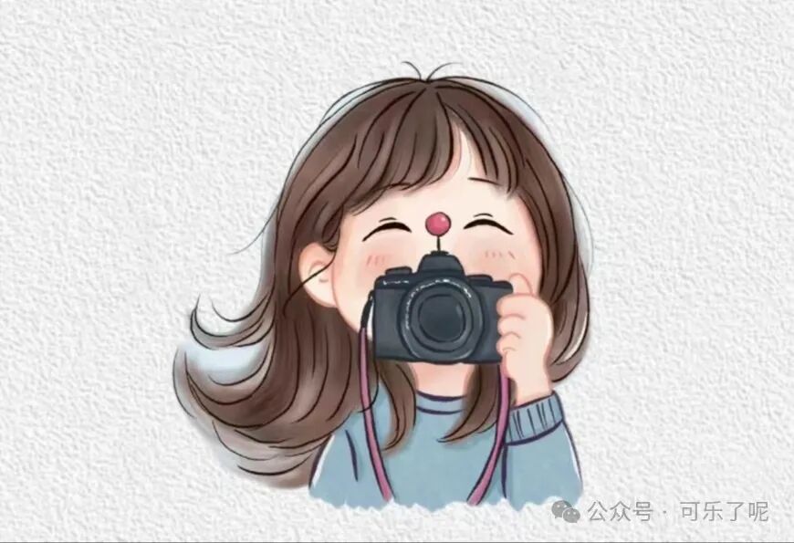 Word文档图片