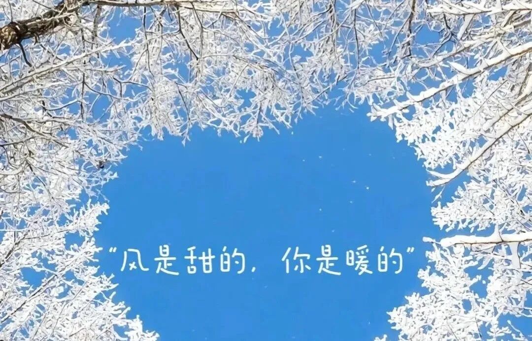 Word文档图片