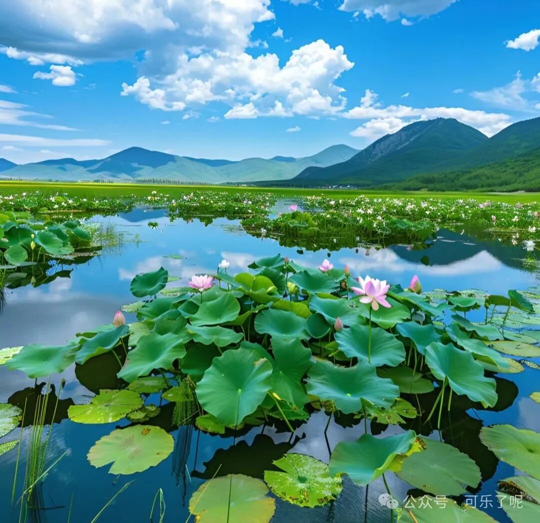 Word文档图片