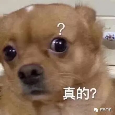 Word文档图片