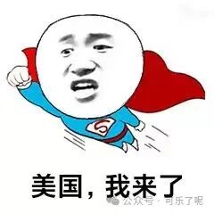 Word文档图片