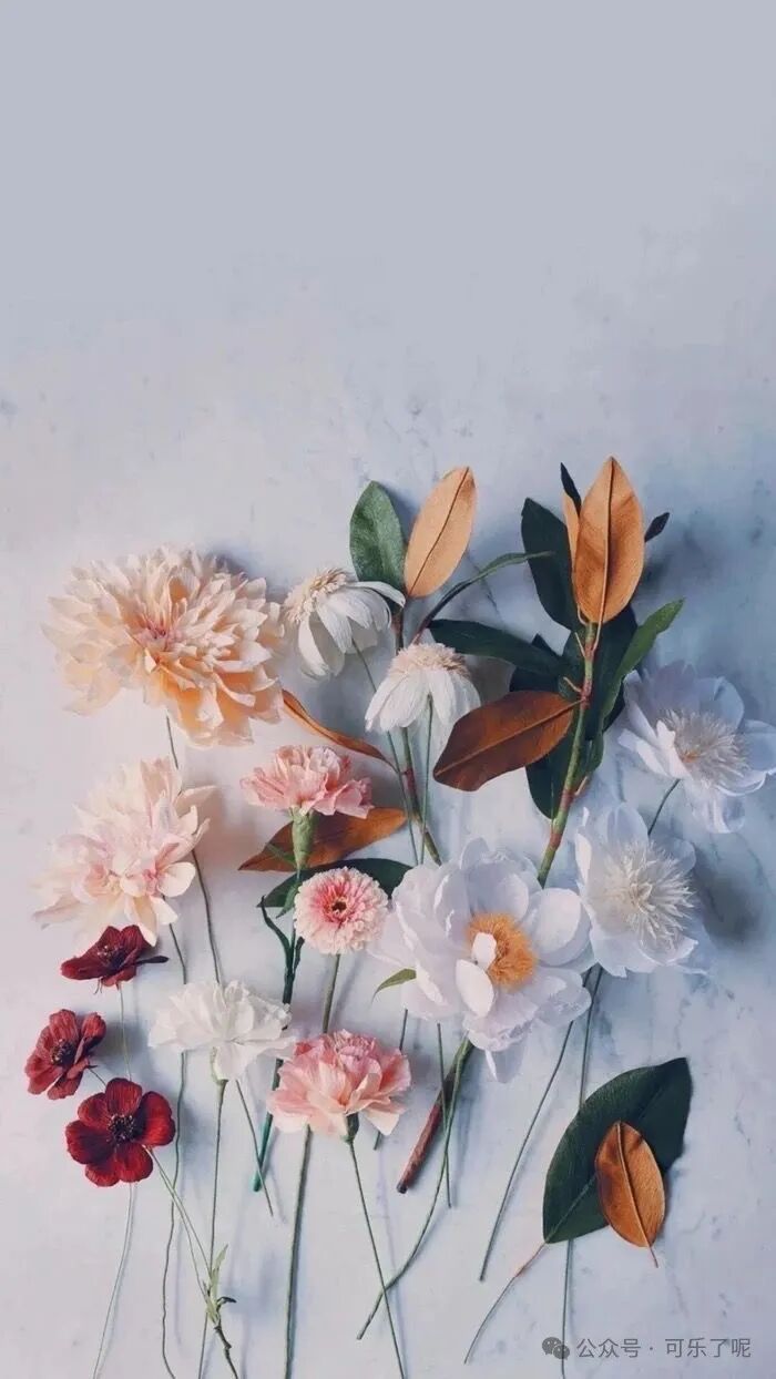 气质美女三要素胸小话少表情吊