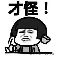Word文档图片