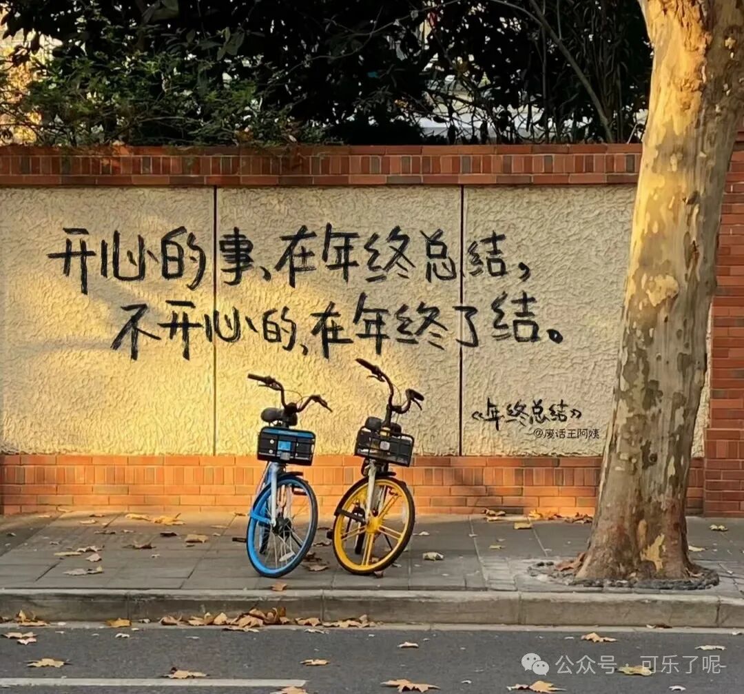 Word文档图片