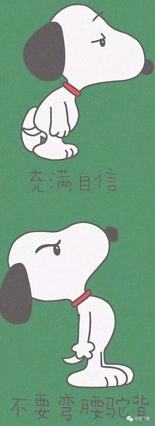 Word文档图片
