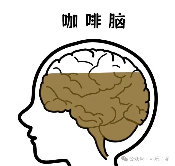 Word文档图片