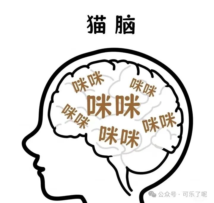Word文档图片