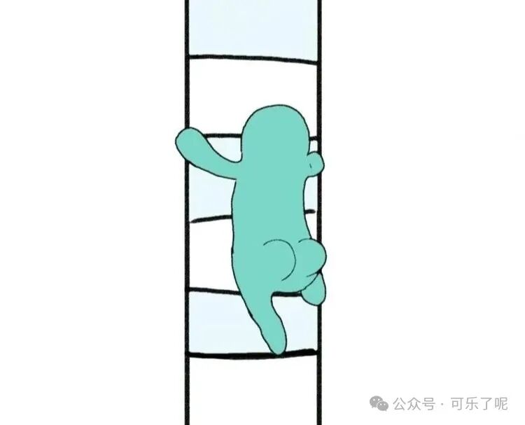 Word文档图片