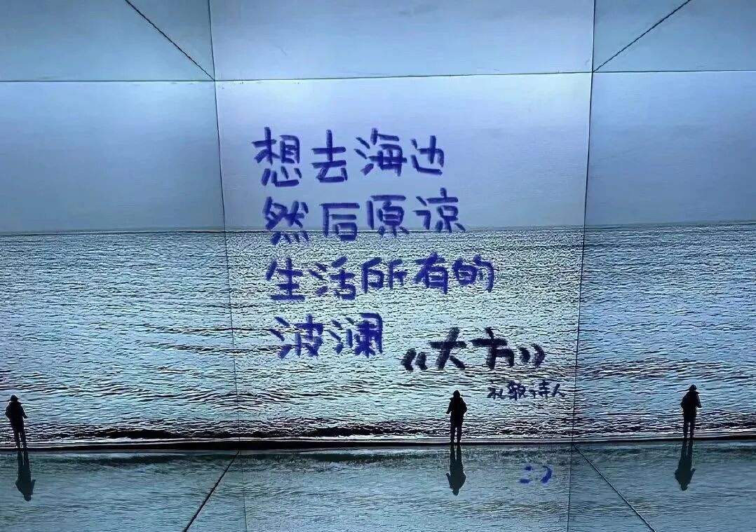 Word文档图片