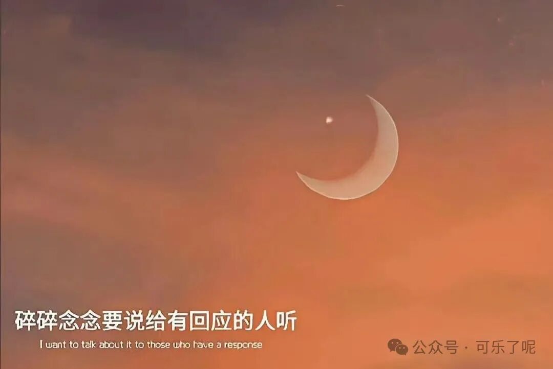 Word文档图片