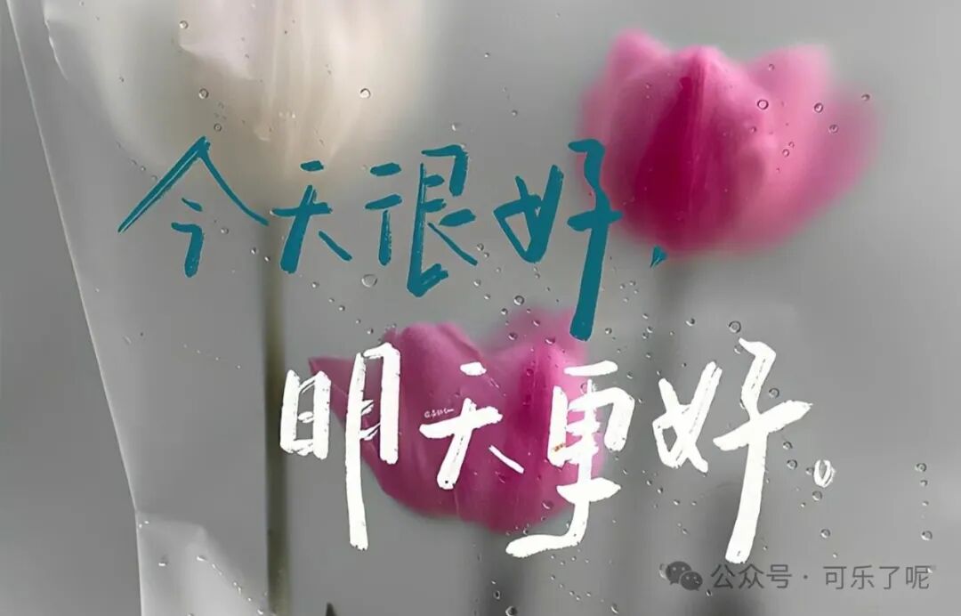 Word文档图片