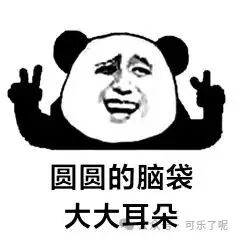 Word文档图片