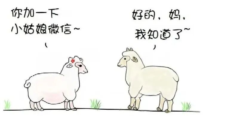Word文档图片