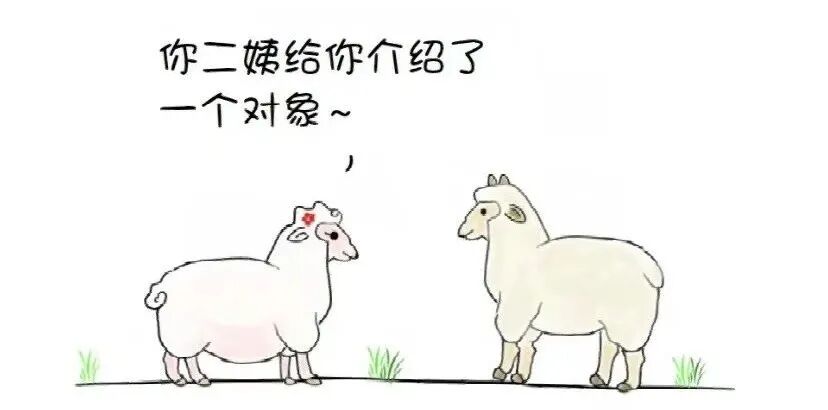 Word文档图片