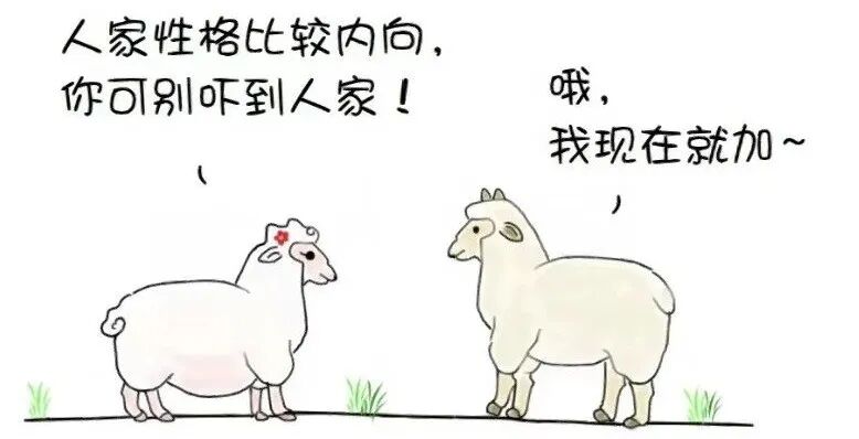 Word文档图片