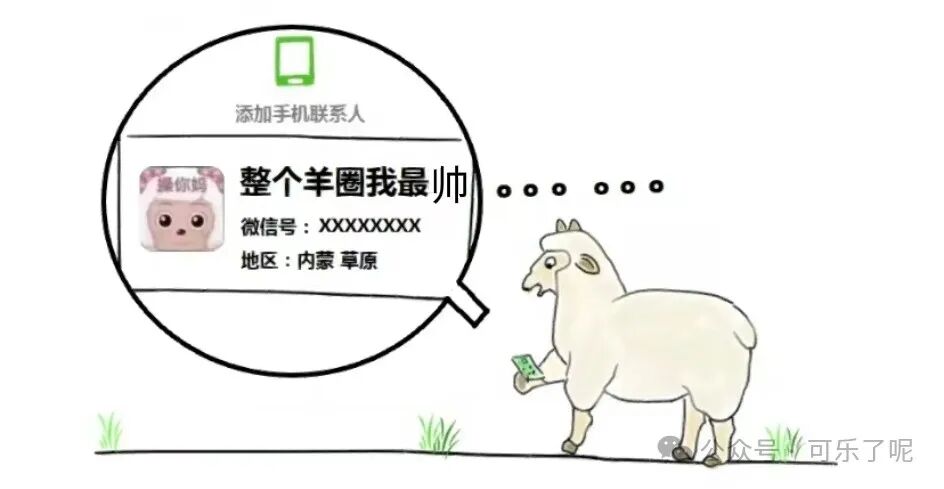 Word文档图片