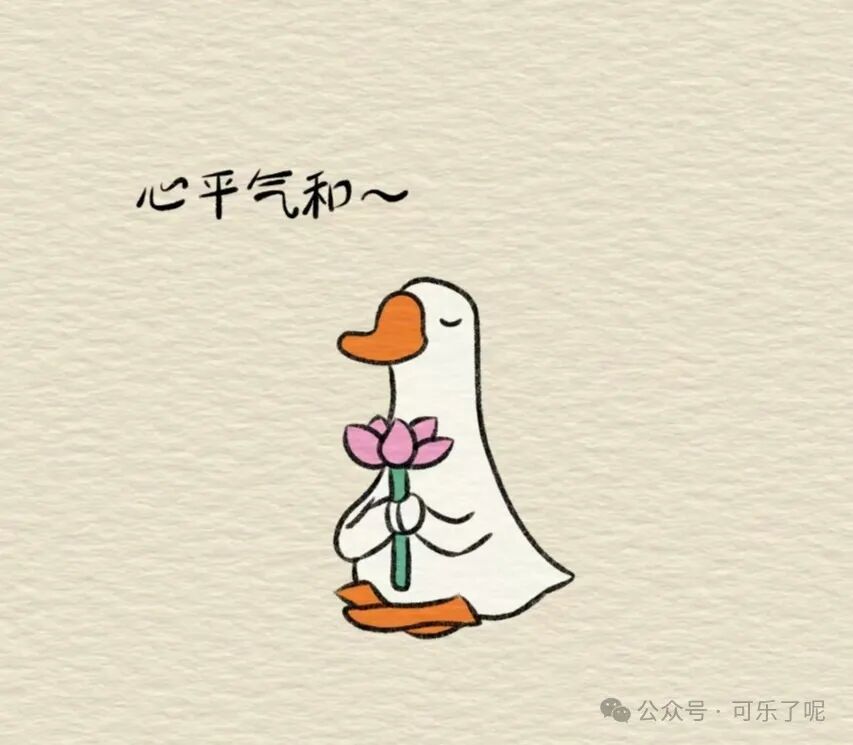 Word文档图片