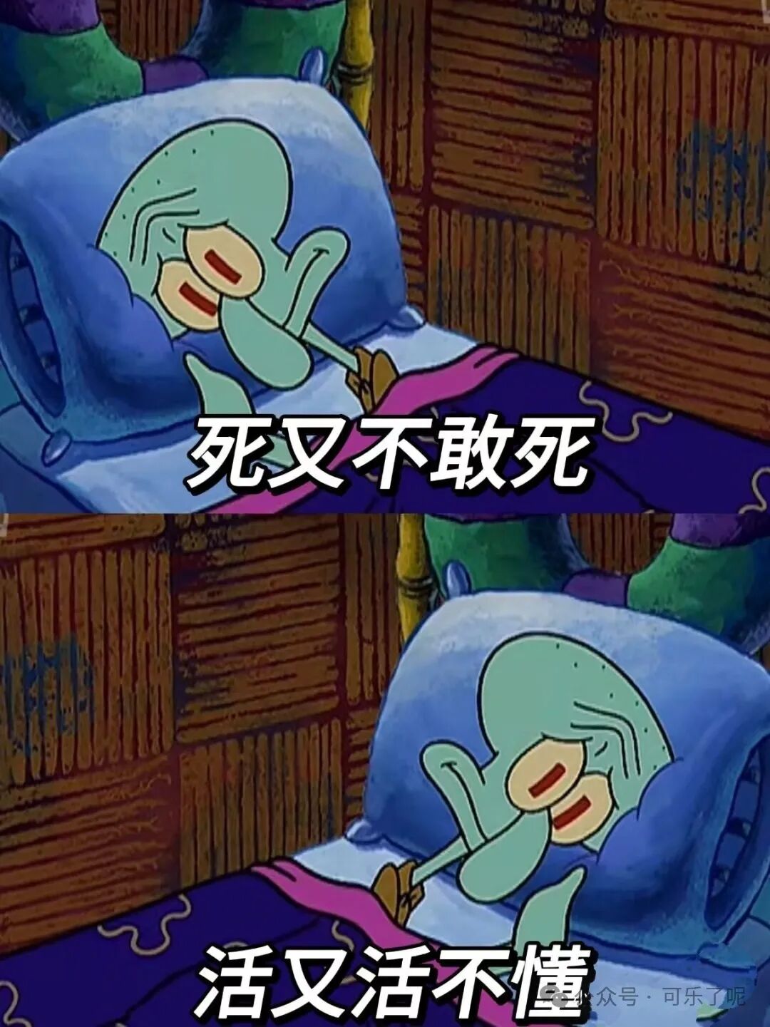 Word文档图片