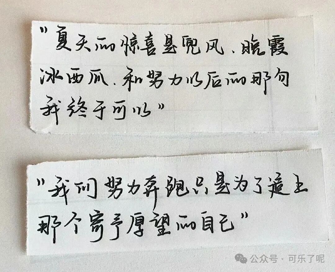Word文档图片