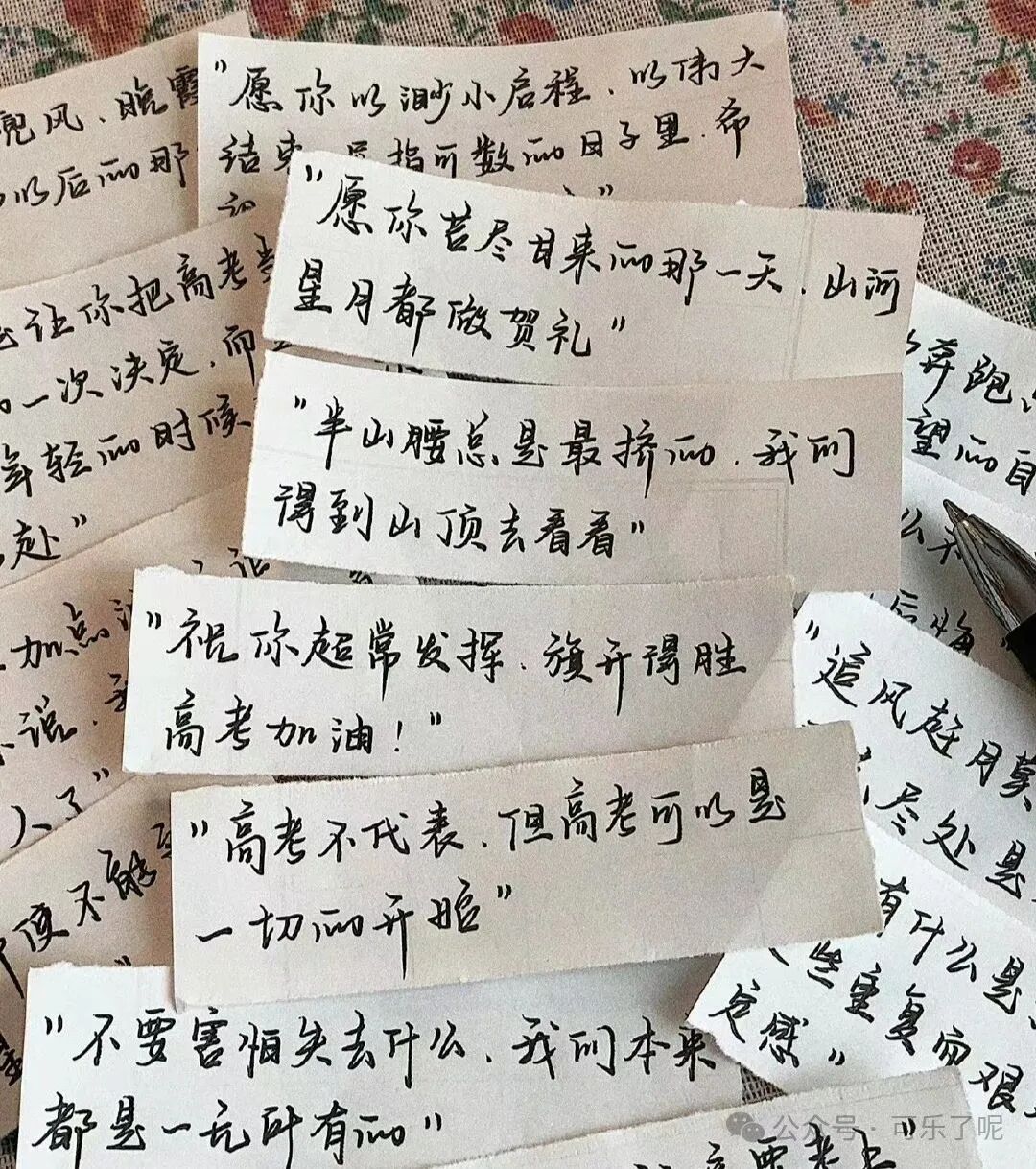 Word文档图片
