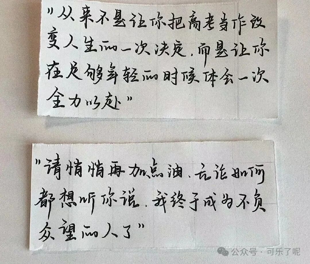 Word文档图片