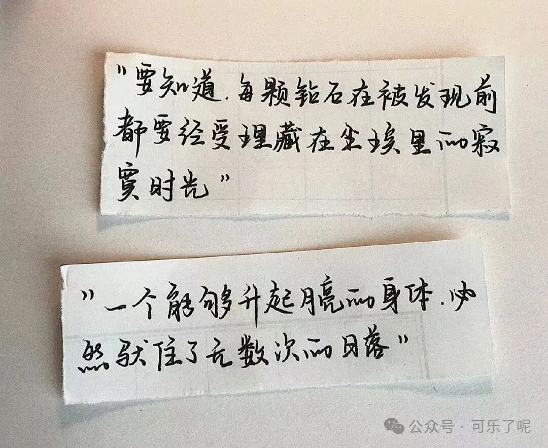 Word文档图片