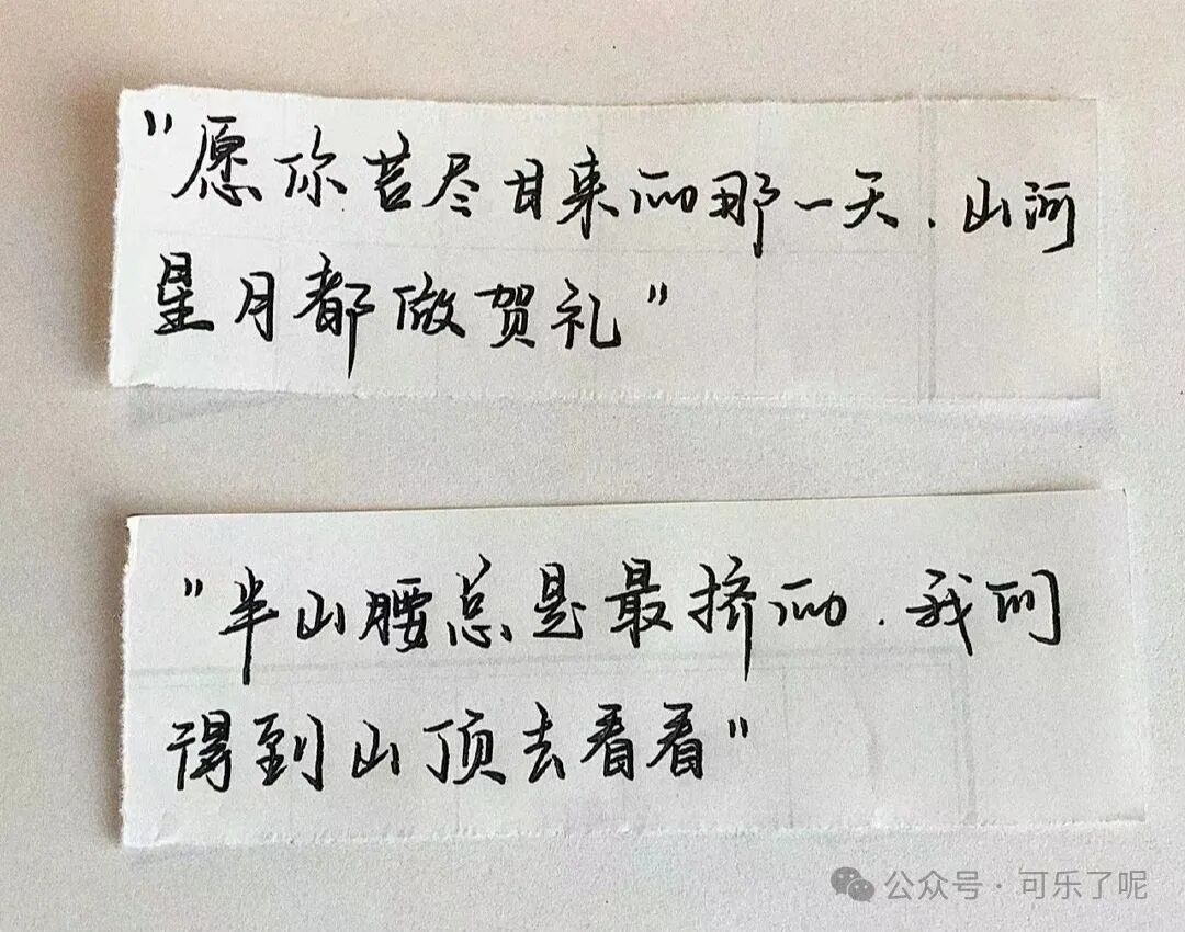 Word文档图片