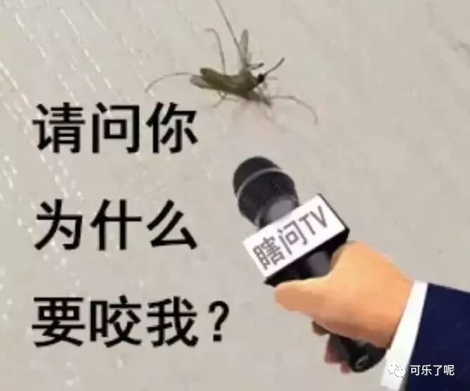 Word文档图片