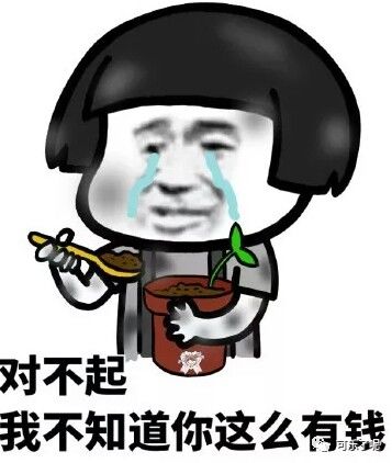 Word文档图片