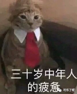 好看的锁骨千篇一律有趣的肚腩弹来弹去